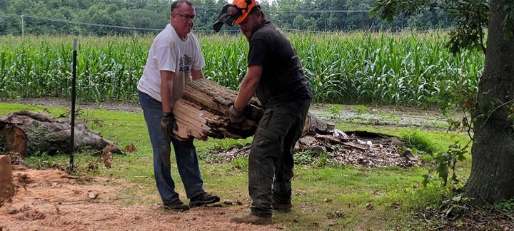 Two volunteers carry cut logs beside a cornfield