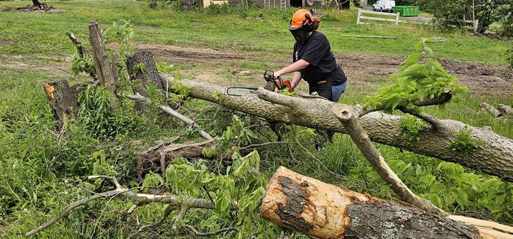 A volunteer cuts up a fallen tree in a yard
