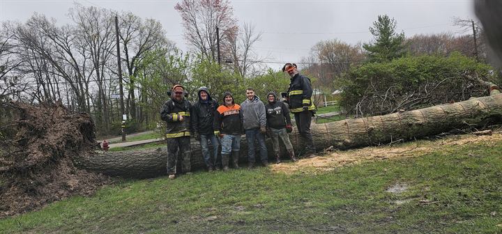 The team stands beside a large fallen tree