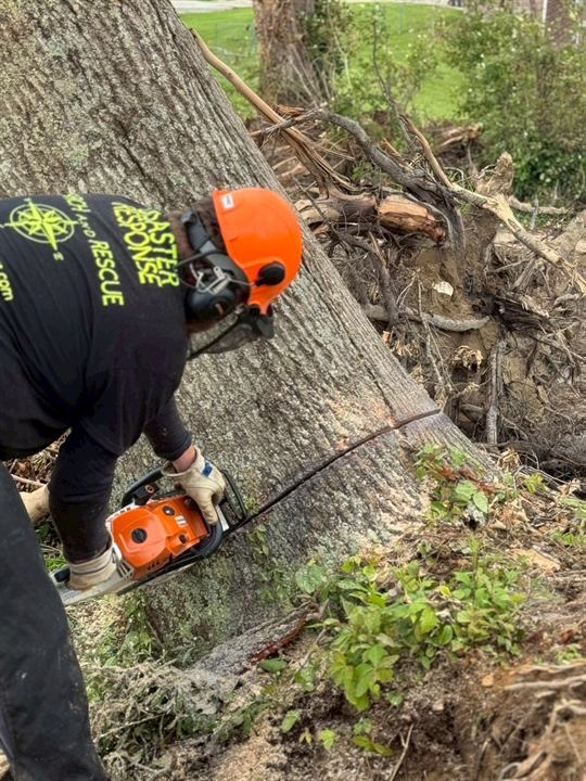 A volunteer cuts a fallen trunk with a chainsaw after the London, Kentucky tornado