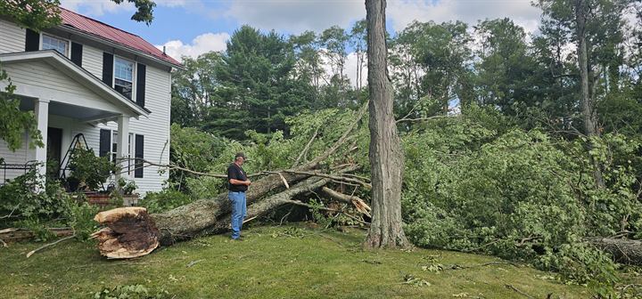 A volunteer surveys downed trees in a front yard