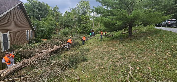 Volunteers clear fallen trees along a hillside